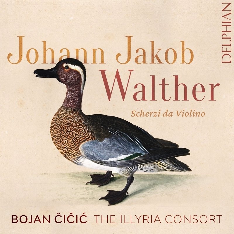 CD Shop - ILLYRIA CONSORT JOHANN JAKOB WALTHER:..