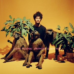 CD Shop - SKINNY PELEMBE DREAMING IS DEAD NOW