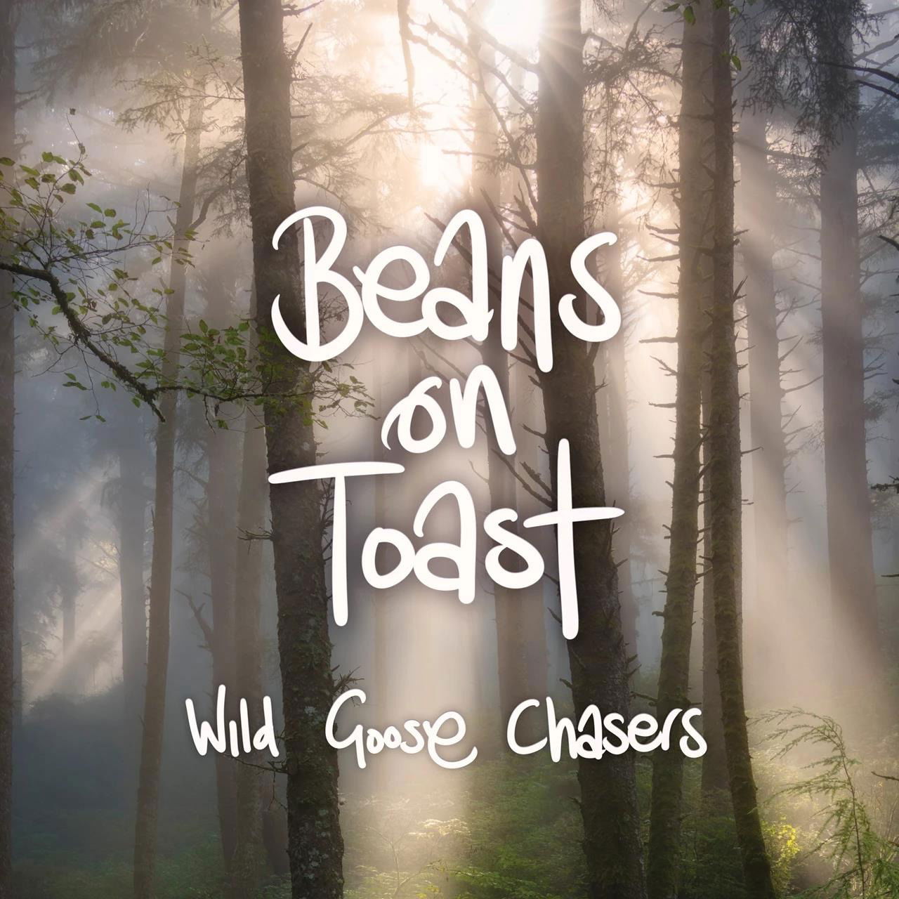 CD Shop - BEANS ON TOAST WILD GOOSE CHASERS