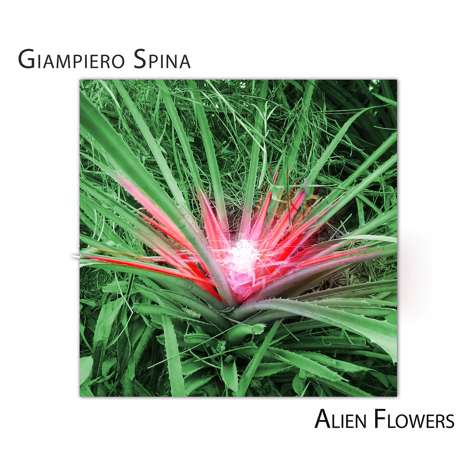CD Shop - GIAMPIERO SPINA ALIEN FLOWERS