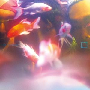 CD Shop - SY3 SLEEPWALKER