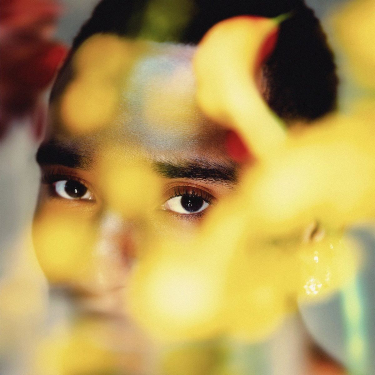 CD Shop - DURAND BERNARR BLOOM