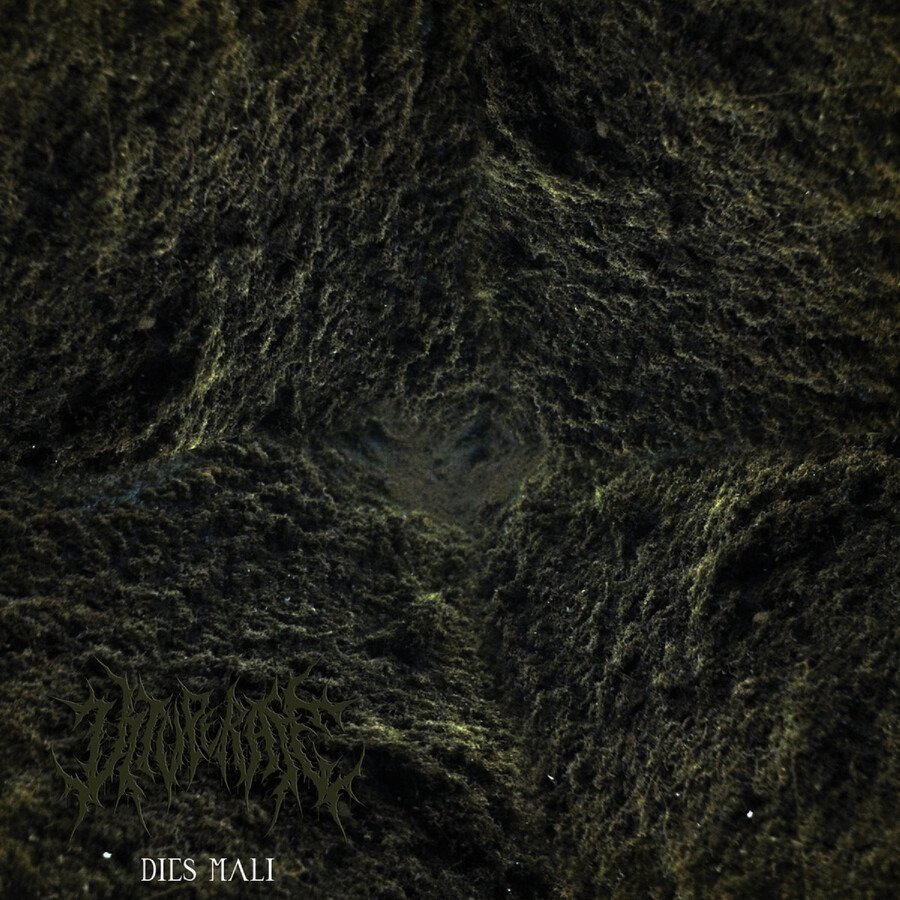 CD Shop - VITUPERATE DIES MALI
