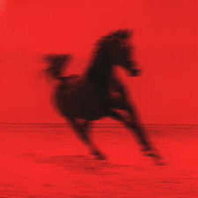 CD Shop - RED RUM CLUB BUCK