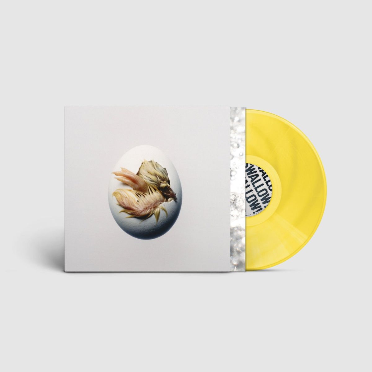 CD Shop - SHYGIRL SWALLOW!