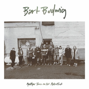 CD Shop - BART BUDWIG ANOTHER BURN OF THE AS...