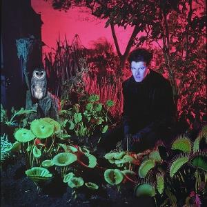 CD Shop - VJEZE FUR TUINIEREN