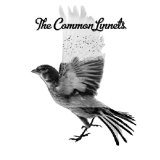 CD Shop - THE COMMON LINNETS COMMON LINNETS