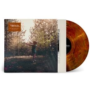 CD Shop - JOSH RITTER I BELIEVE IN YOU, MY H...