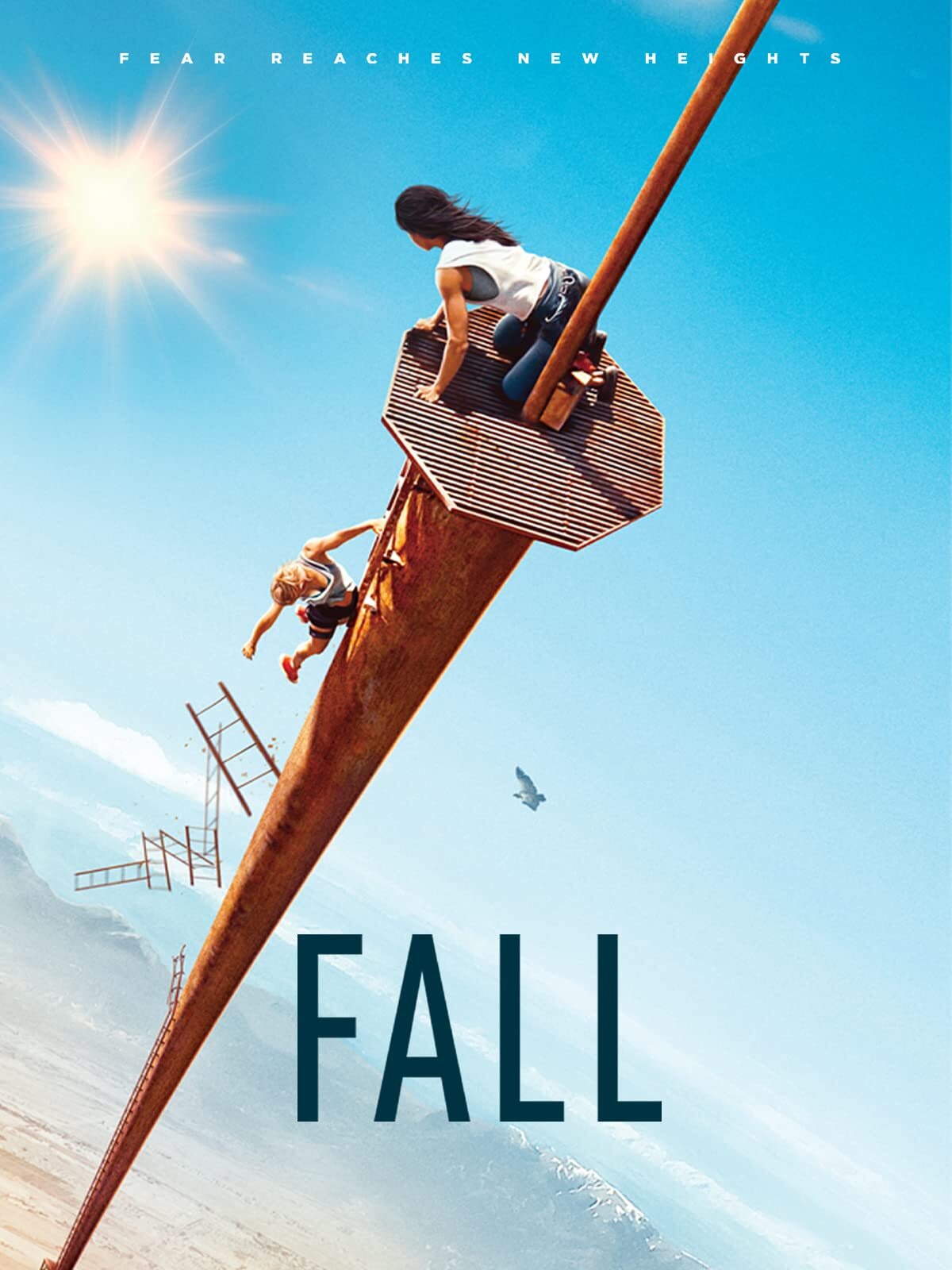 CD Shop -  FALL