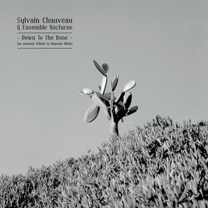 CD Shop - SYLVAIN -& ENSEMBLE NOCTURNE- CHAUVEAU DOWN TO THE BONE: AN A...