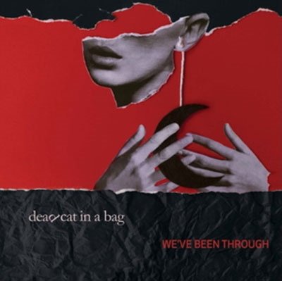 CD Shop - DEAD CAT IN A BAG WE\