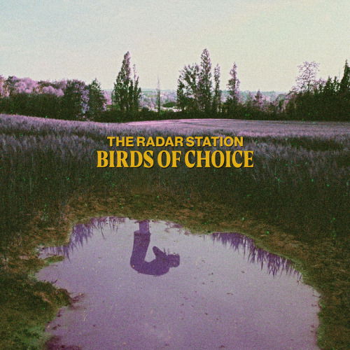 CD Shop - THE RADAR STATION BIRDS OF CHOICE