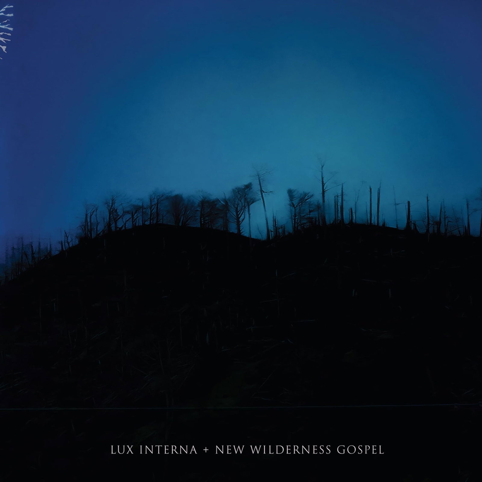 CD Shop - LUX INTERNA NEW WILDERNESS GOSPEL