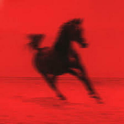 CD Shop - RED RUM CLUB BUCK