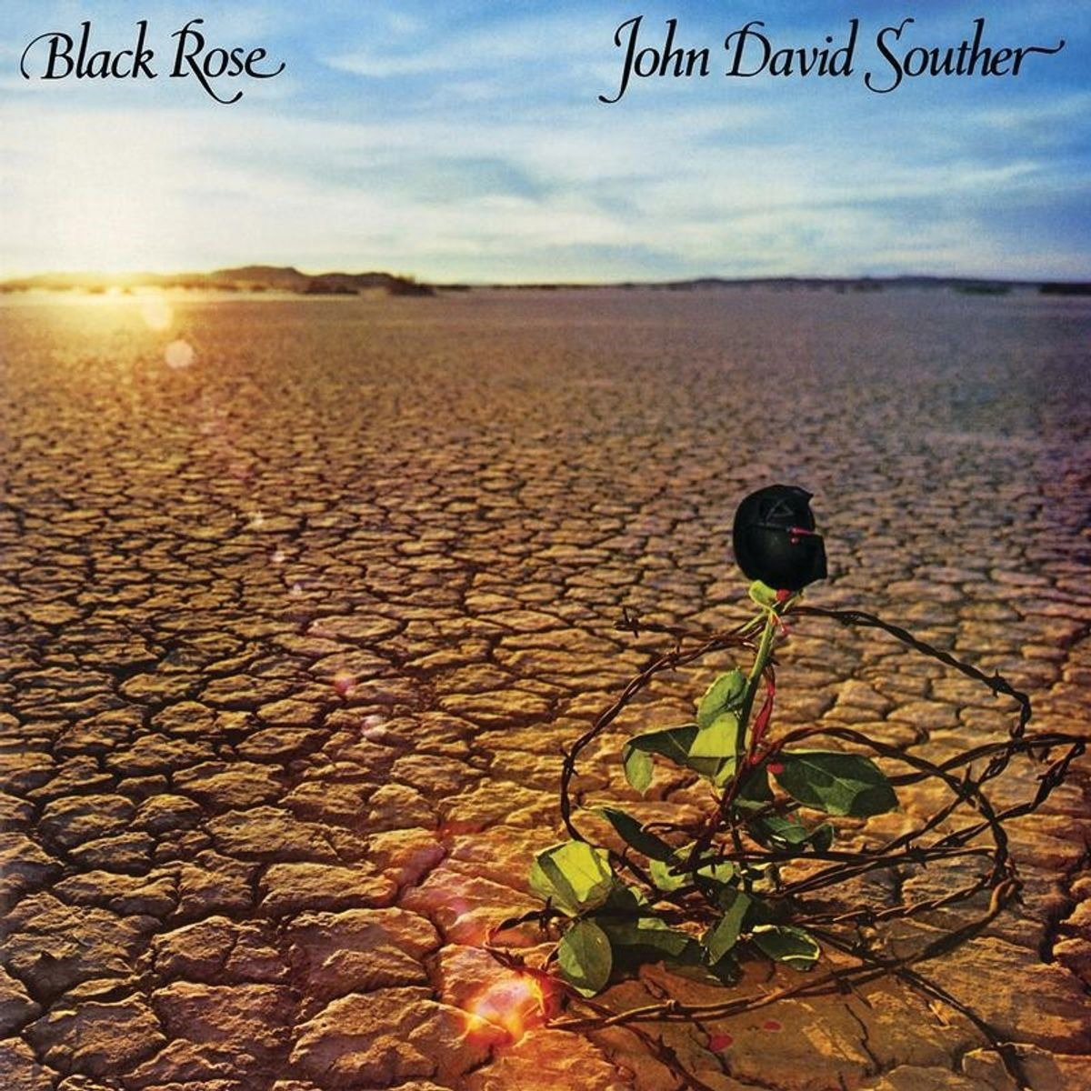 CD Shop - JOHN DAVID SOUTHER BLACK ROSE