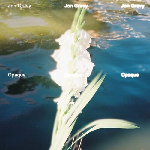 CD Shop - JON GRAVY OPAQUE