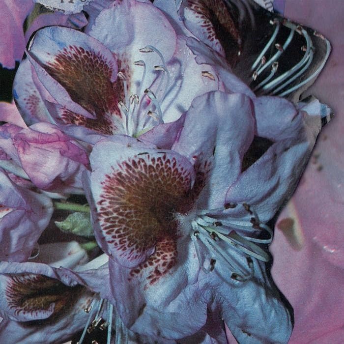 CD Shop - TERESA WINTER PROSERPINE