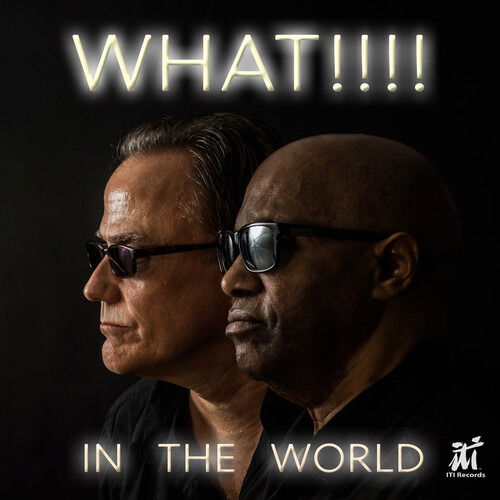 CD Shop - WHAT!!!! IN THE WORLD