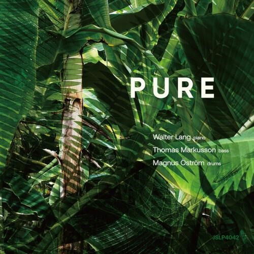 CD Shop - WALTER LANG TRIO PURE
