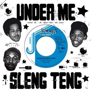 CD Shop - WAYNE SMITH UNDER ME SLENG TENG
