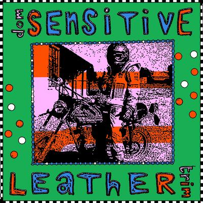 CD Shop - DOM SENSITIVE LEATHER TRIM LTD.