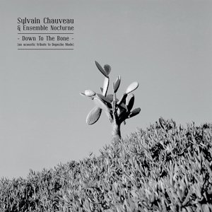 CD Shop - SYLVAIN -& ENSEMBLE NOCTURNE- CHAUVEAU DOWN TO THE BONE (AN A...