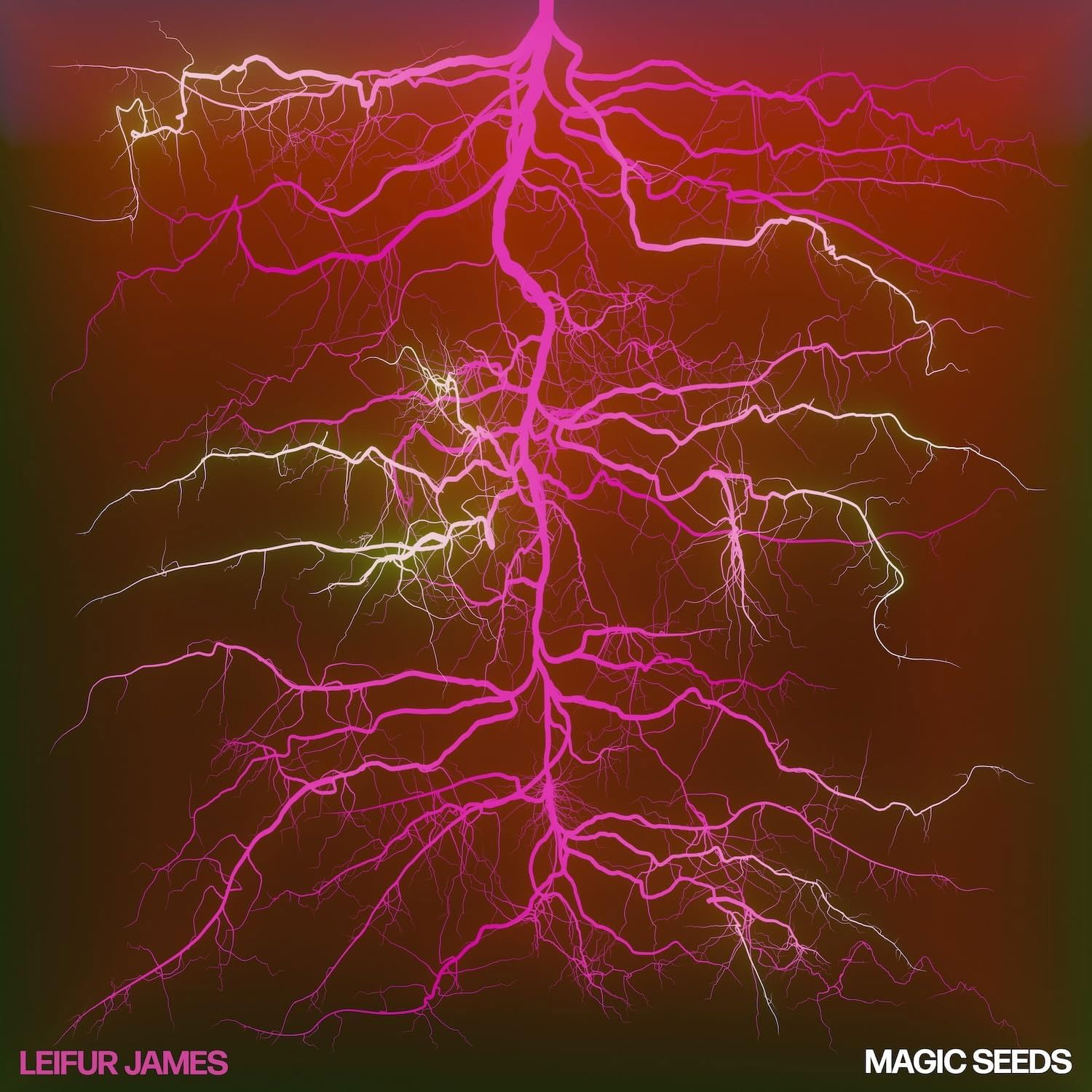 CD Shop - LEIFUR JAMES MAGIC SEEDS