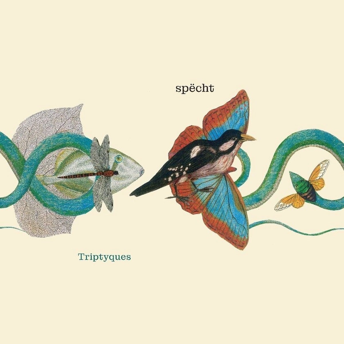 CD Shop - SPECHT TRIPTYQUES