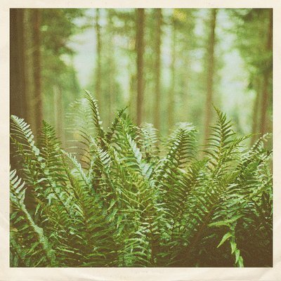 CD Shop - MTBRD 7-JUST VISITING