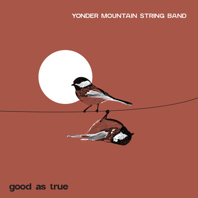 CD Shop - YONDER MOUNTAIN STRING BAND GOOD AS TRUE