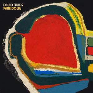 CD Shop - DRUID FLUIDS PAREIDOLIA