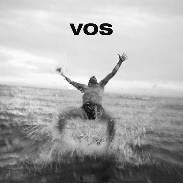 CD Shop - VARIOUS ARTISTS VOS