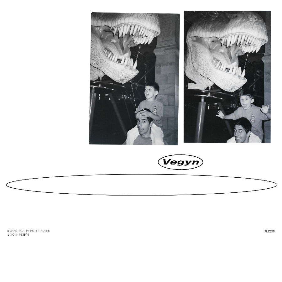 CD Shop - VEGYN ONLY DIAMONDS CUT DIAM...