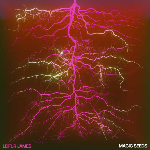 CD Shop - LEIFUR JAMES MAGIC SEEDS