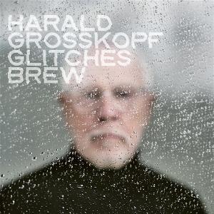 CD Shop - HARALD GROSSKOPF GLITCHES BREW