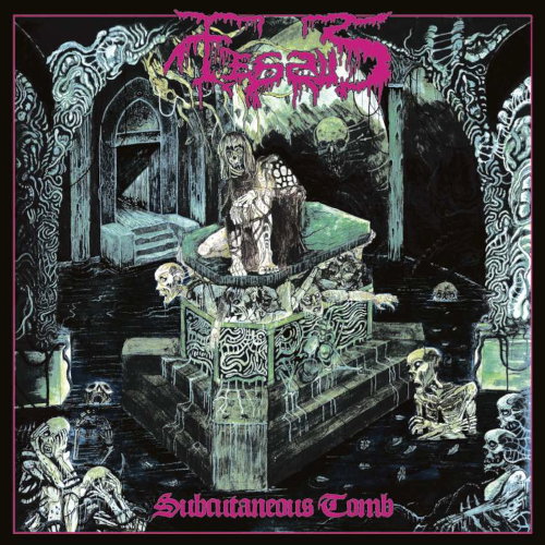 CD Shop - FESSUS SUBCUTANEOUS TOMB