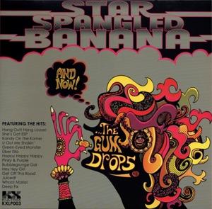 CD Shop - STAR SPANGLED BANANA AND NOW