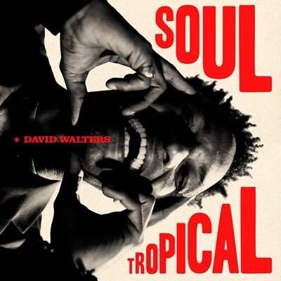 CD Shop - DAVID WALTERS SOUL TROPICAL