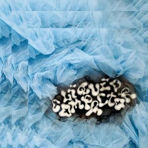 CD Shop - PENNY & THE PITS LIQUID COMPACTOR
