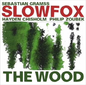 CD Shop - HAYDEN CHRISHOLM SLOW FOX