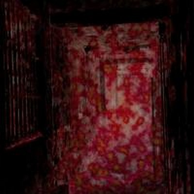 CD Shop - ELIMI ASYLUM