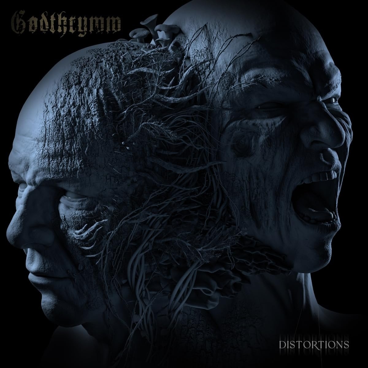 CD Shop - GODTHRYMM Godthrymm - Distortions