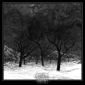 CD Shop - ETHEREAL SHROUD THEY BECAME THE FALLIN...