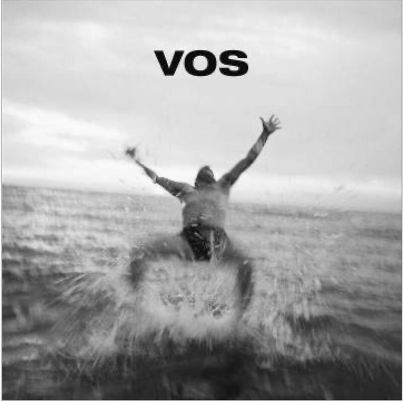 CD Shop - VARIOUS ARTISTS VOS