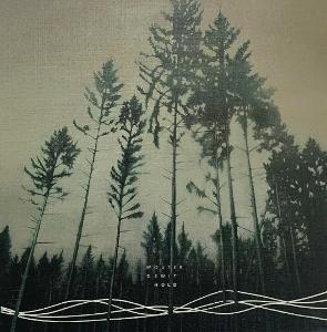 CD Shop - WOUTER DEWIT HOLD