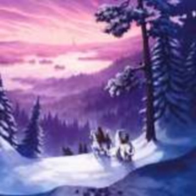CD Shop - WINTER TREE, THE THE WINTER TREE