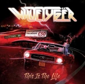CD Shop - WHITE TYGER THIS IS MY LIFE