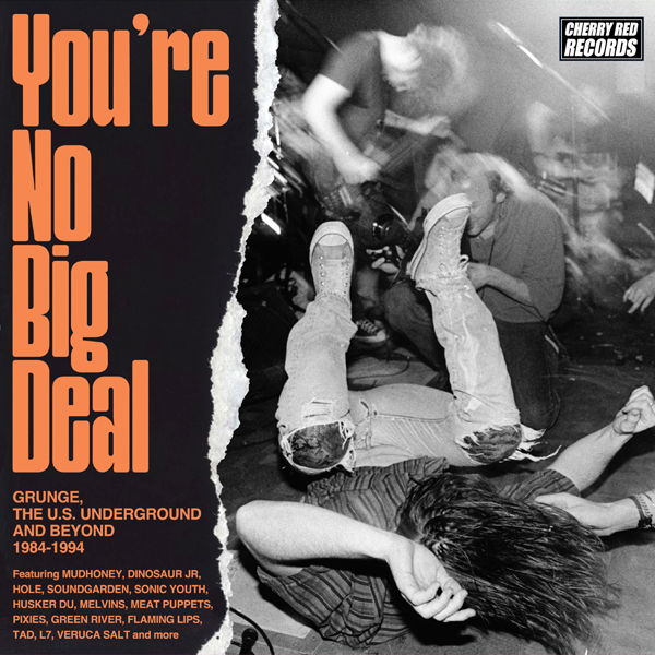 CD Shop - VARIOUS ARTISTS YOU\