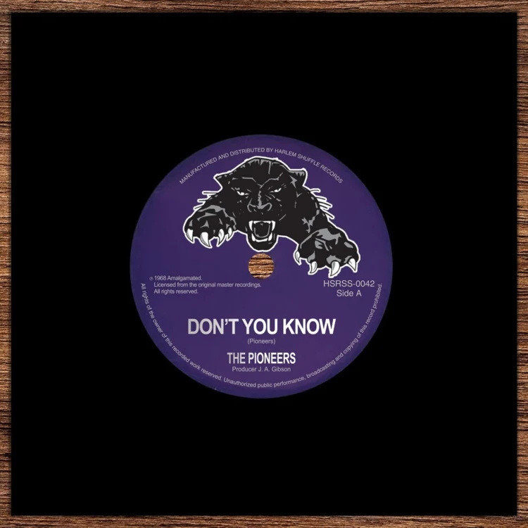 CD Shop - THE PIONEERS 7-DON\